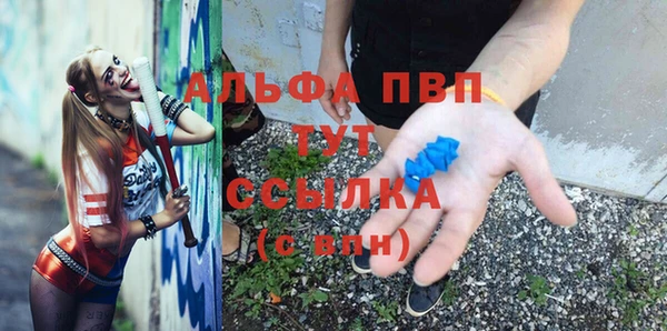 дживик Арсеньев