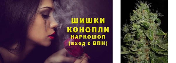 крисы Аркадак