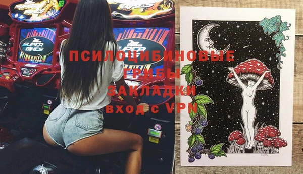 крисы Аркадак
